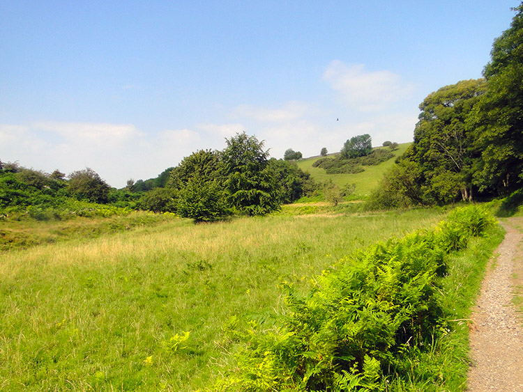 Velvet Bottom Nature Reserve