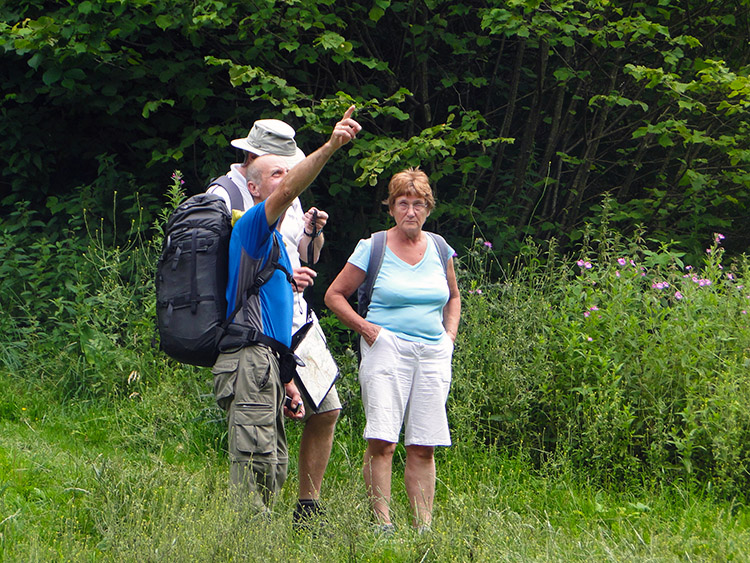 Steve helps the tourists