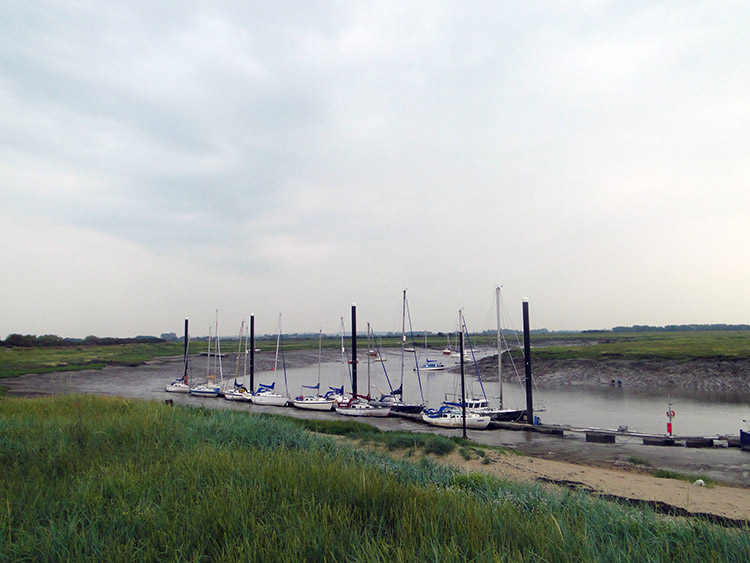 Estuary of the River Parrett