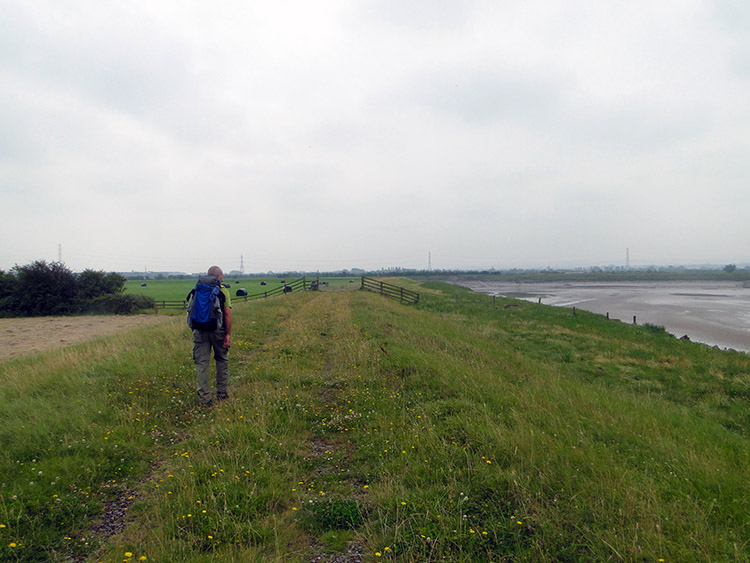 Following the River Parrett to Bridgwater