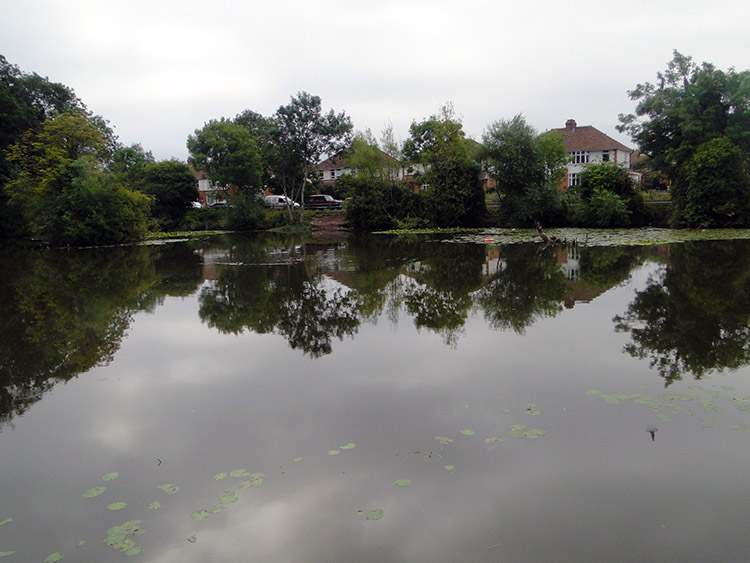 Browne's Pond, Bridgwater