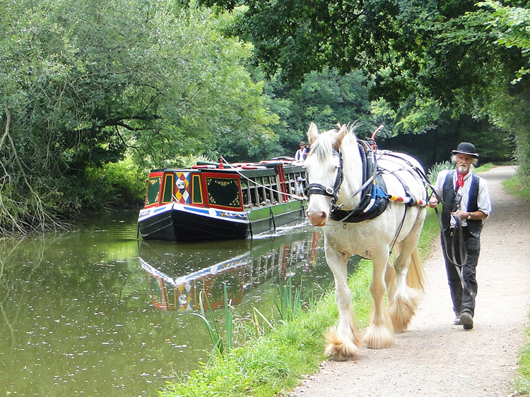 Draught Horse Powered Boat