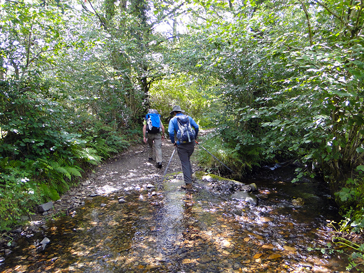 Wading across Crandford Brook