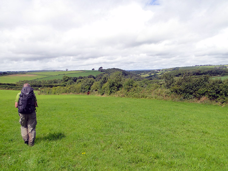 Countryside near Tregadillett