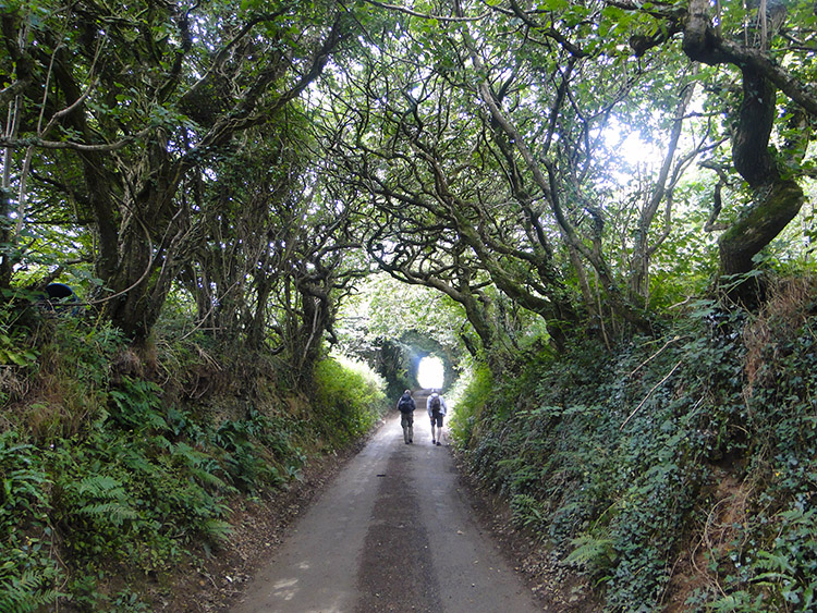 Holloway near Pencourse Manor