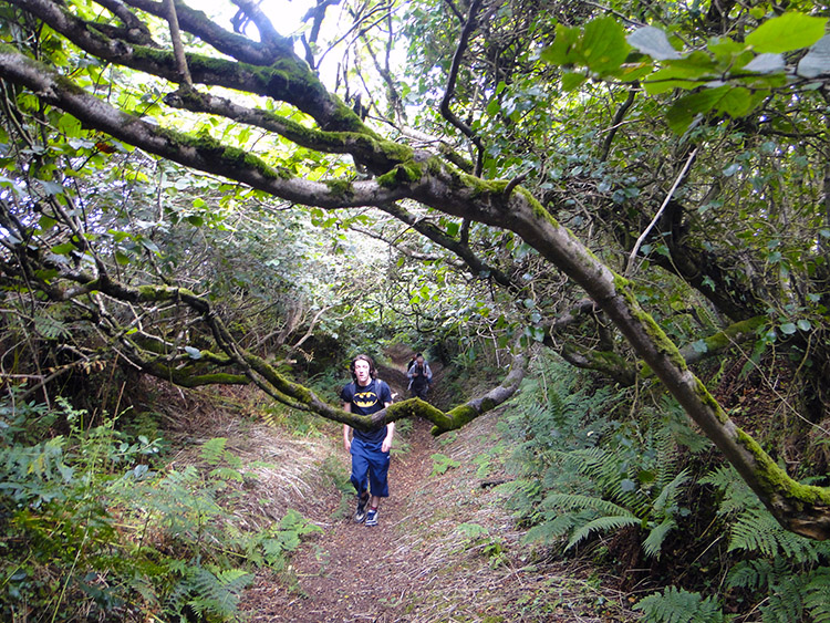 Climbing through the holloway