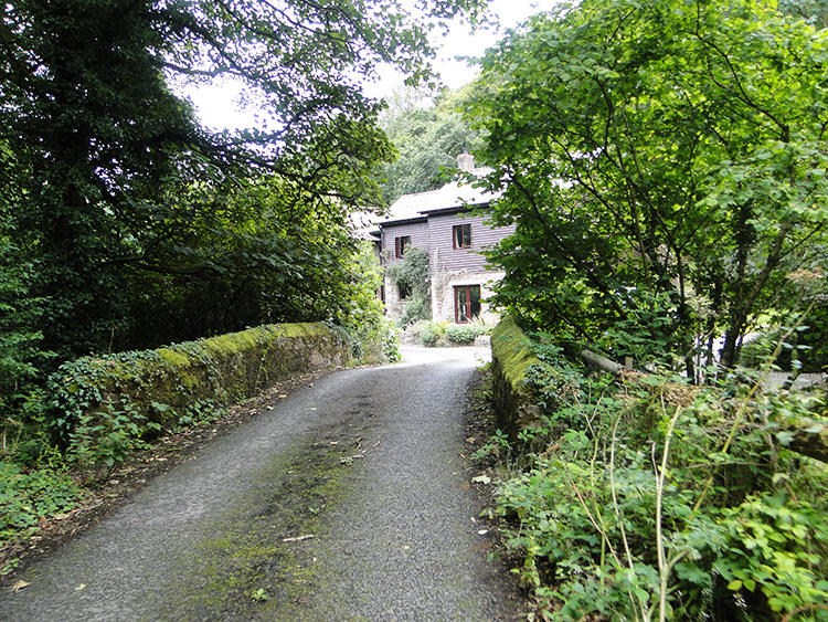 Lanner Mill