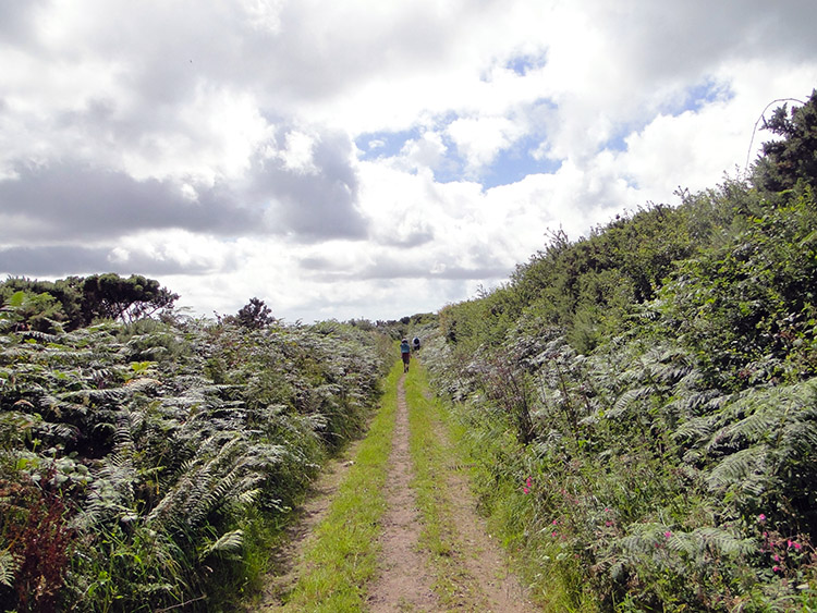 The lane near Job's Water