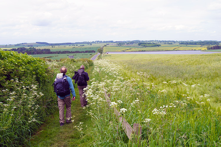 The long straight track to Whittle Dene