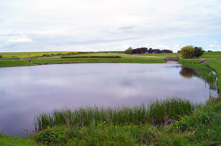 Whittle Dene Reservoir