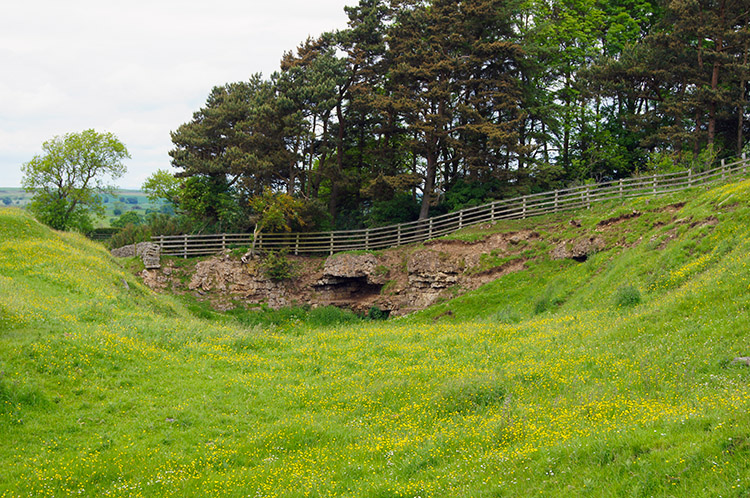 Site of disused Downhill Quarry