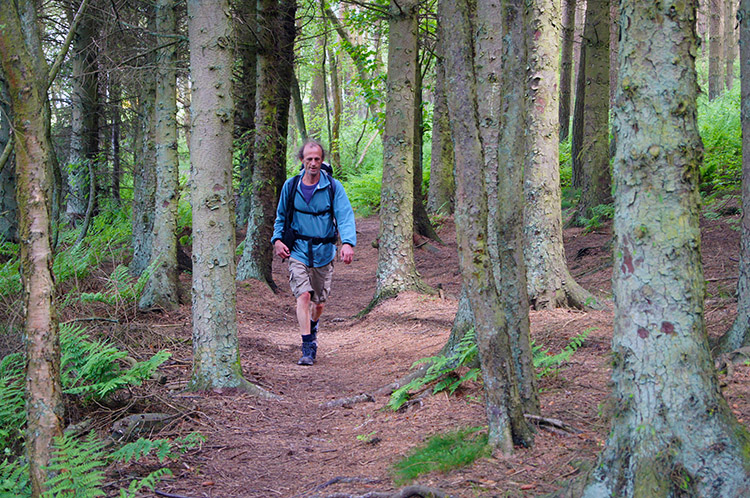 Dave about to emerge from Stanley Plantation