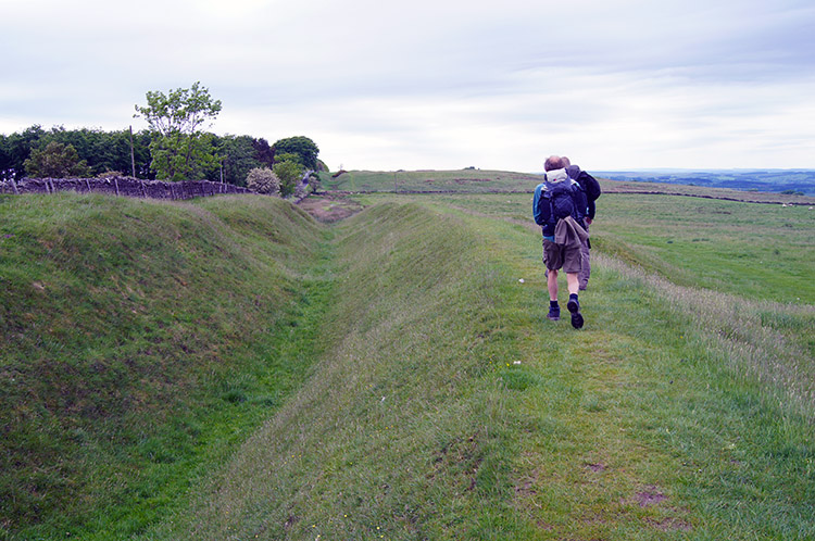 Following the Vallum to St Oswald's Hill Head Farm