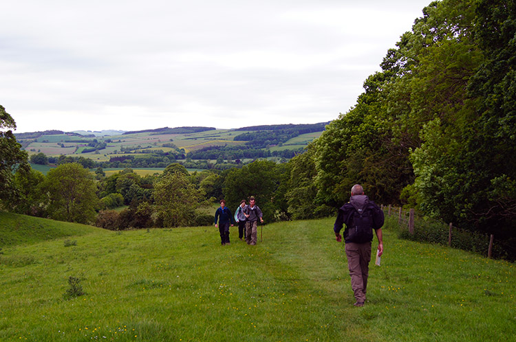 The view from Planetrees to the west