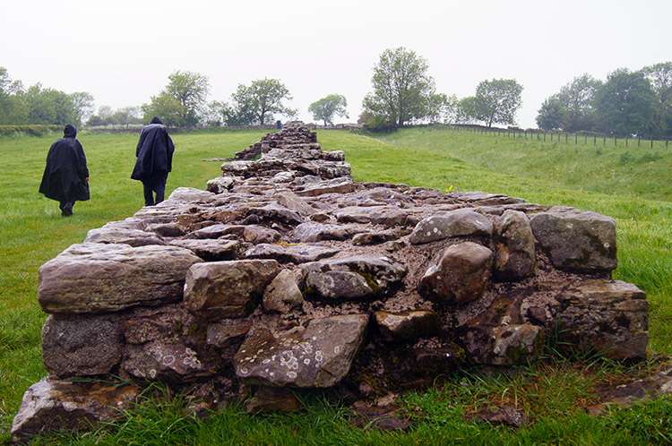 Hadrian's Wall at Black Carts