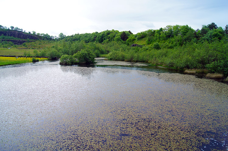 Picturesque pond at the old quarry site