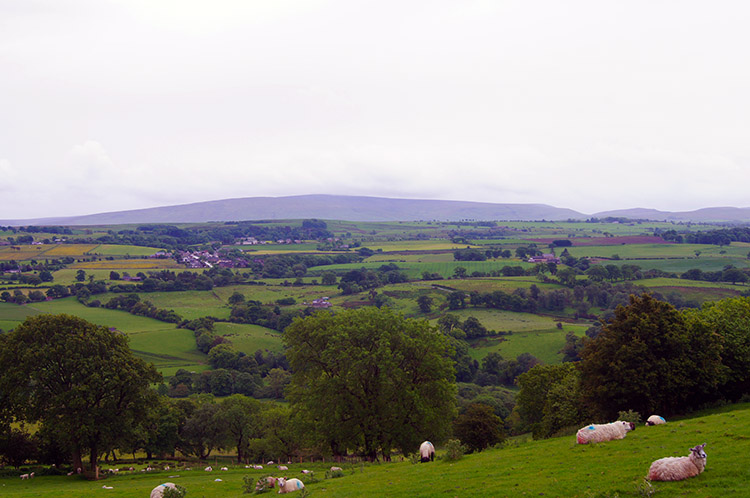 Looking south to the North Pennines