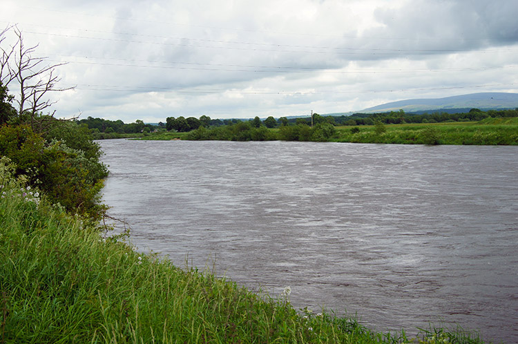 Alongside the river at Low Crosby