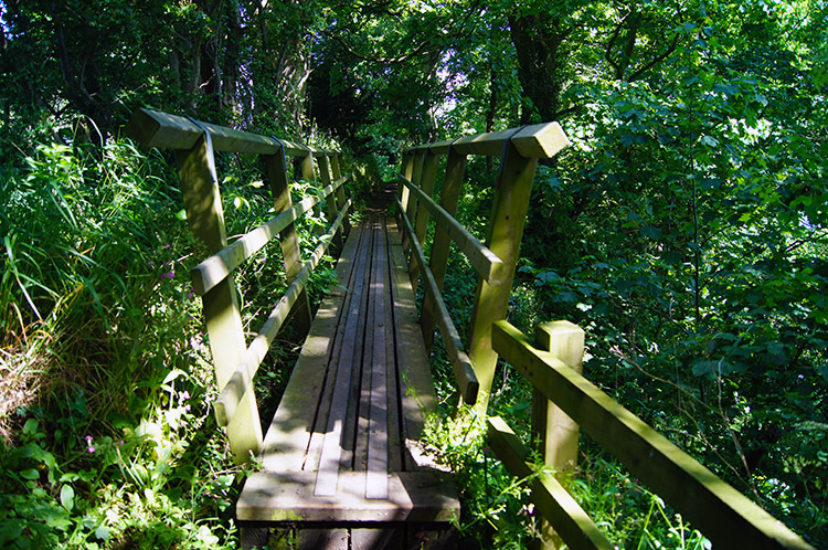 Footbridge near Kirkandrews-on-Eden