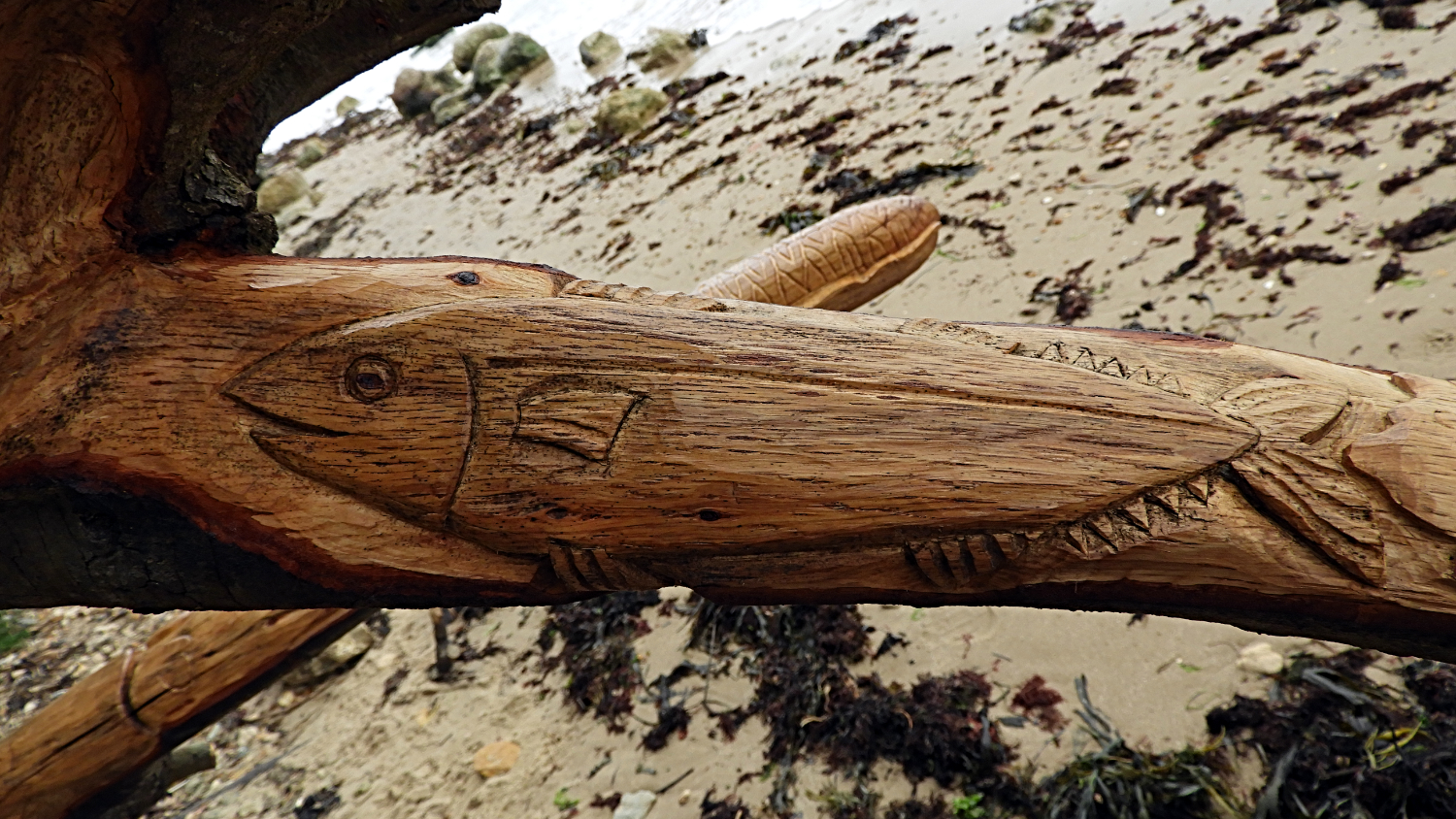 Natural wood carvings, Victoria Fort Country Park, September 2018