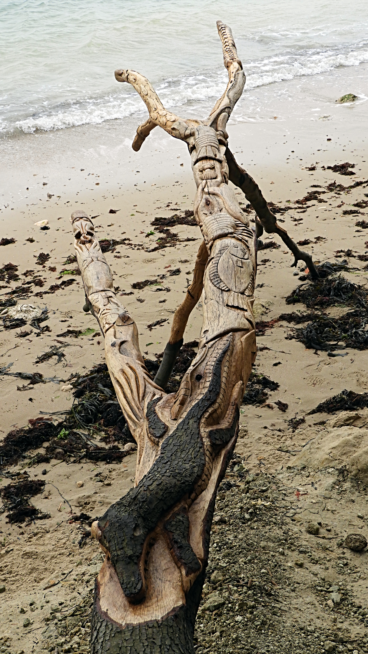 Natural wood carvings, Victoria Fort Country Park, September 2018