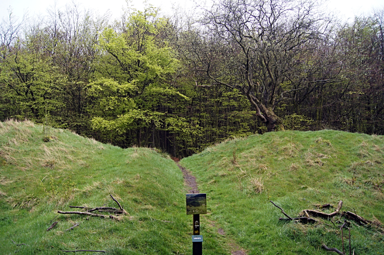 Beacon Ring Fort
