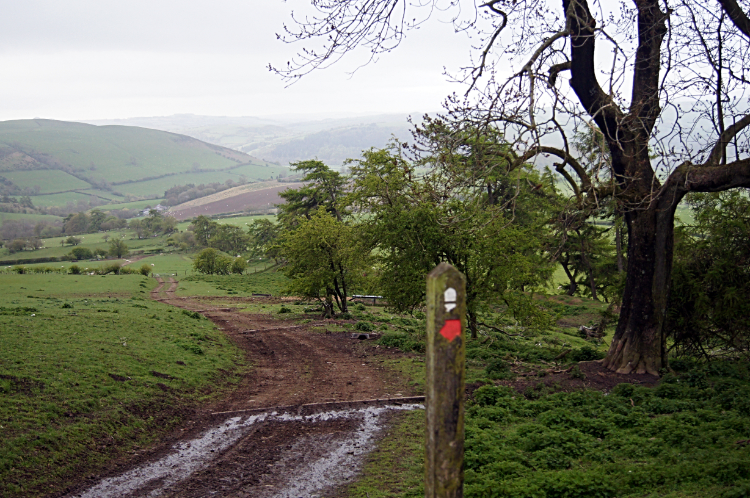 View to Cwm-Sanaham Hill