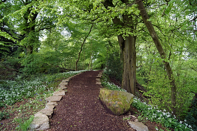 The path through Caswell Woods
