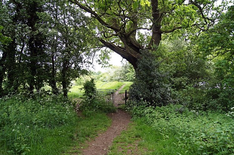 Offa's Dyke Path at Sedbury