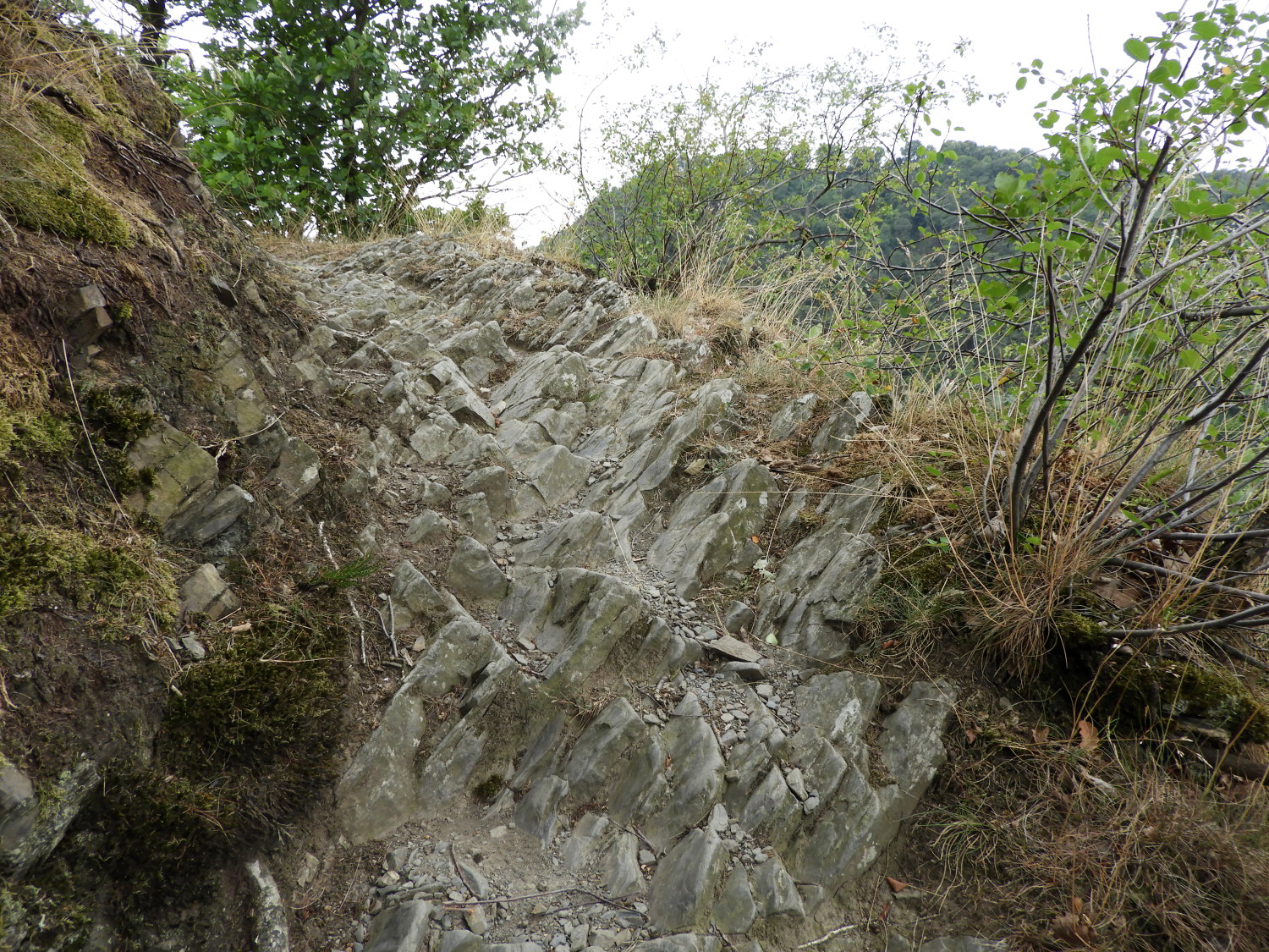 Rocky path on the steep climb to Dickberg