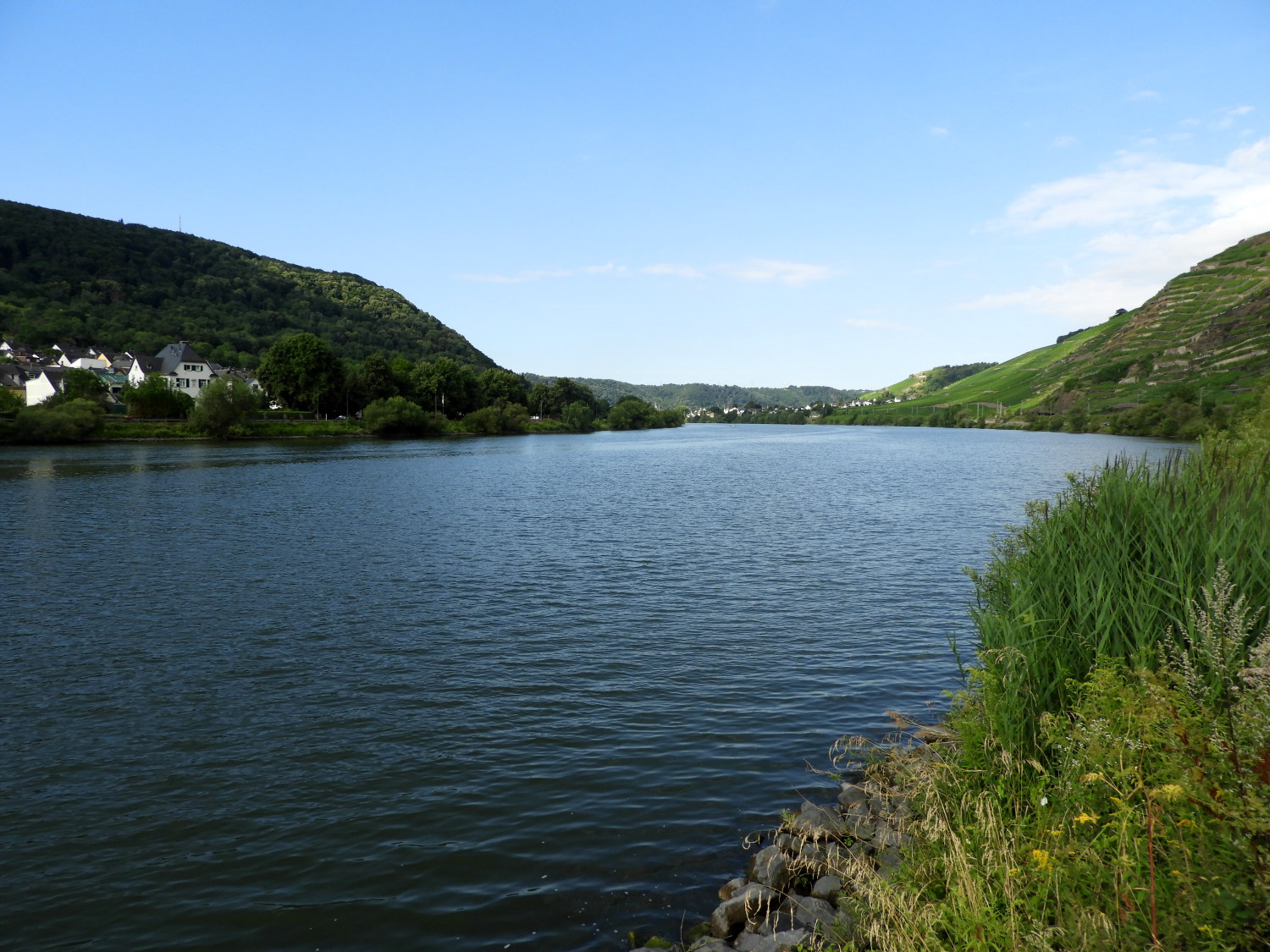 The Mosel River just upstream of Koblenz