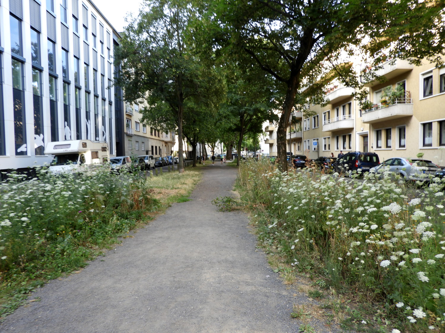 Green avenue through the streets of Koblenz