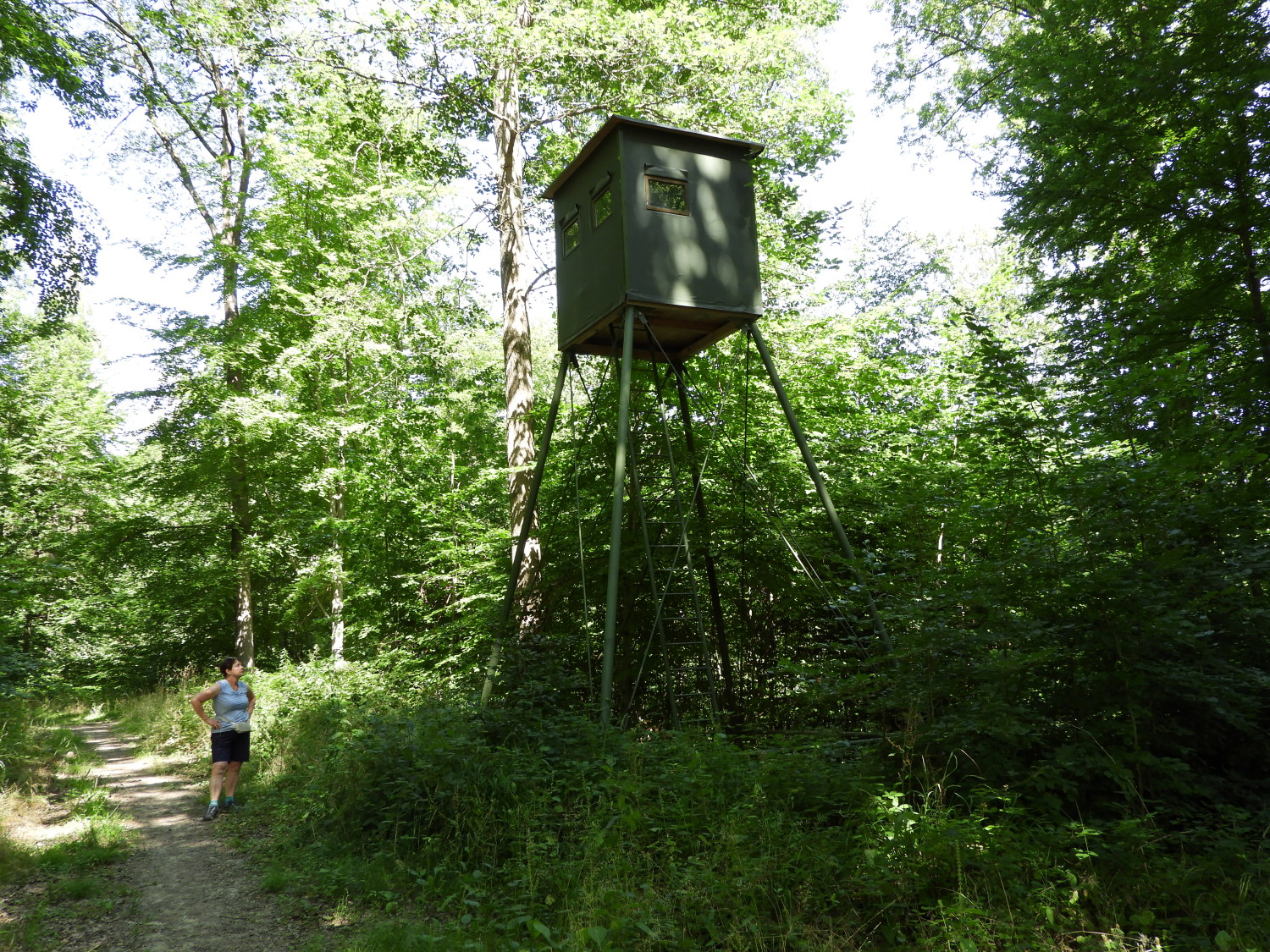 Hunter's observation hut at Halbtritz
