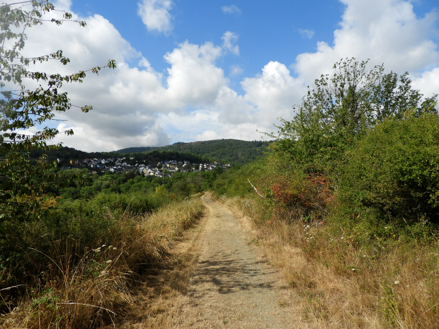 The path leading to Weiler