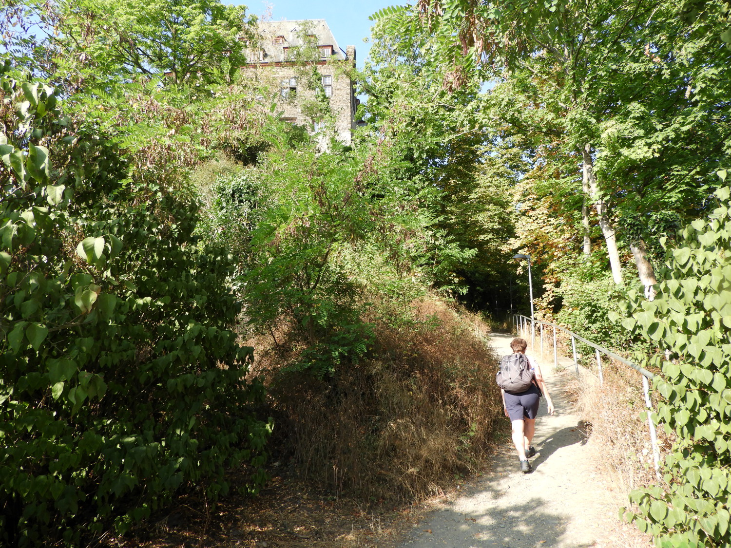 The climb to Burg Stahleck
