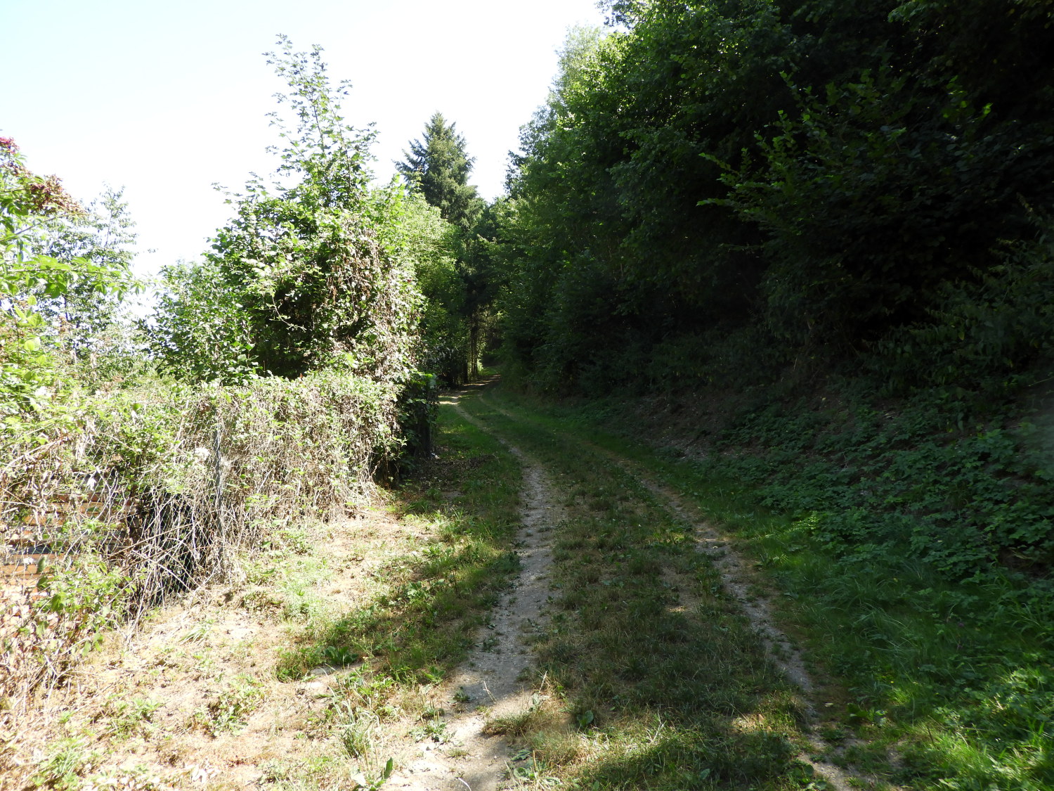 The path from Oberdiebach to Rheindiebach