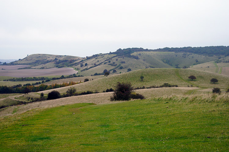 Looking back to Ivinghoe Beacon from Pitstone Hill