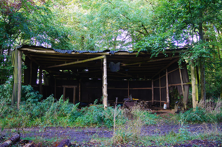 Rickety hut in Goodmerhill Wood