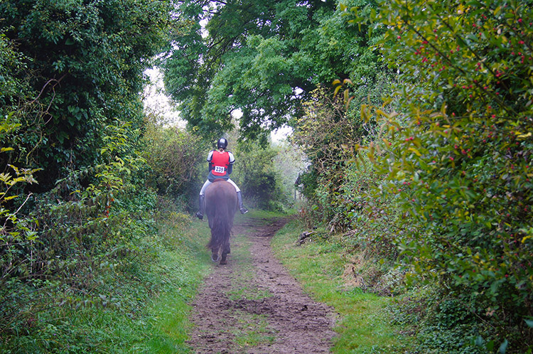 A rider ahead of me near Britwell Salome