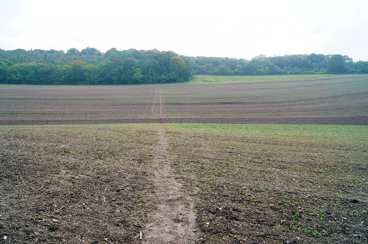 The field crossing after Ewelme Park