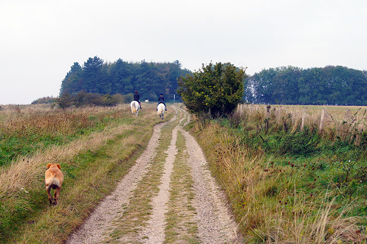 Horse riders near Cuckhamsley Hill
