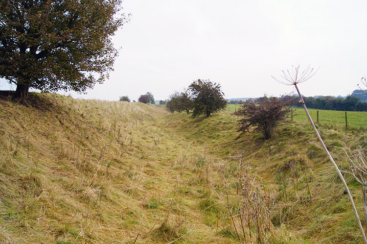 Outer ditch of Segsbury Camp/ Letcombe Castle