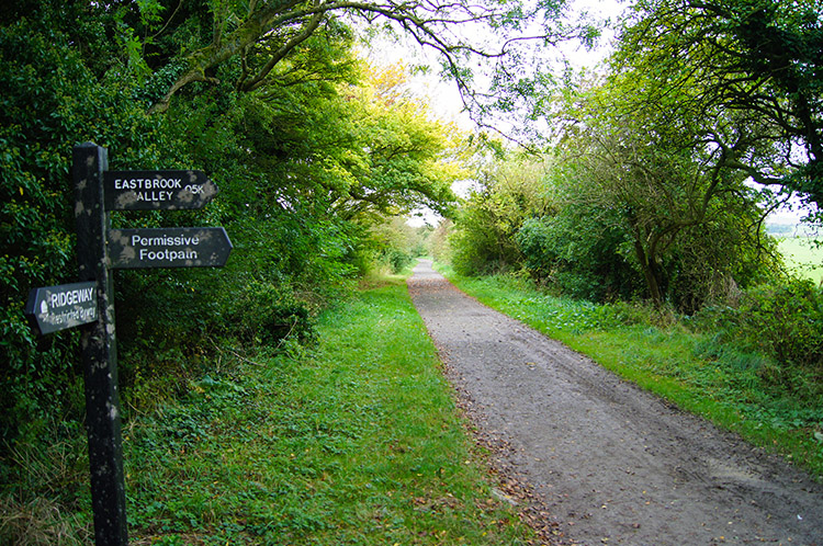 The path near Ridgeway Farm, Bishopstone