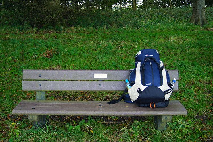 Resting spot at Chase Wood
