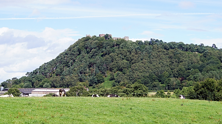 Southside view of Beeston Hill