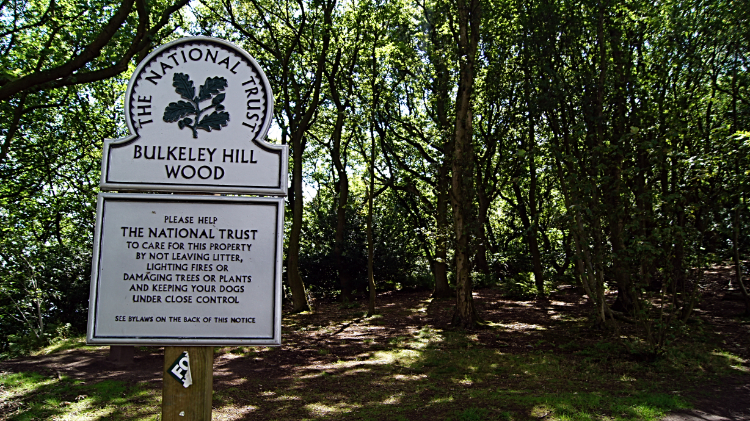 Bulkeley Hill Wood