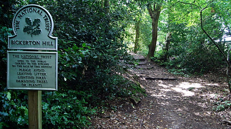 Sandstone Trail at Bickerton Hill