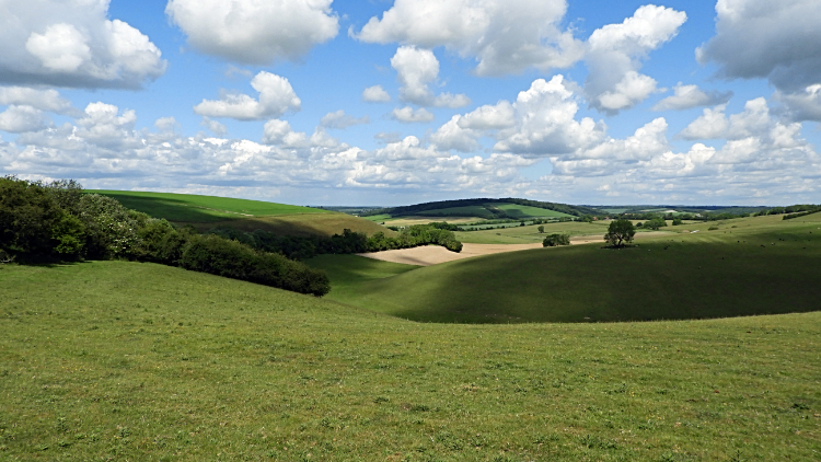 Coombe Down