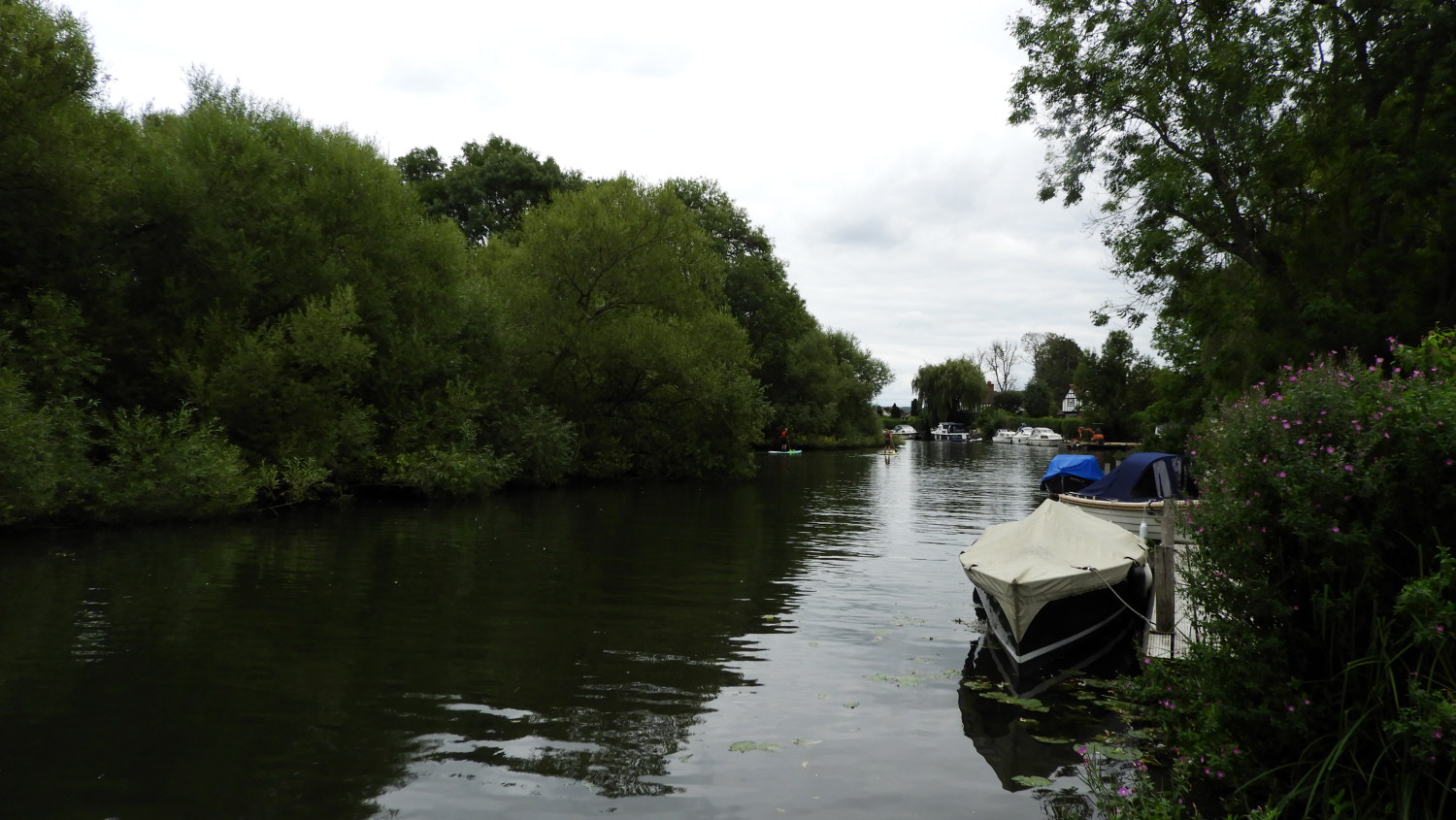 River Thames near Hurley