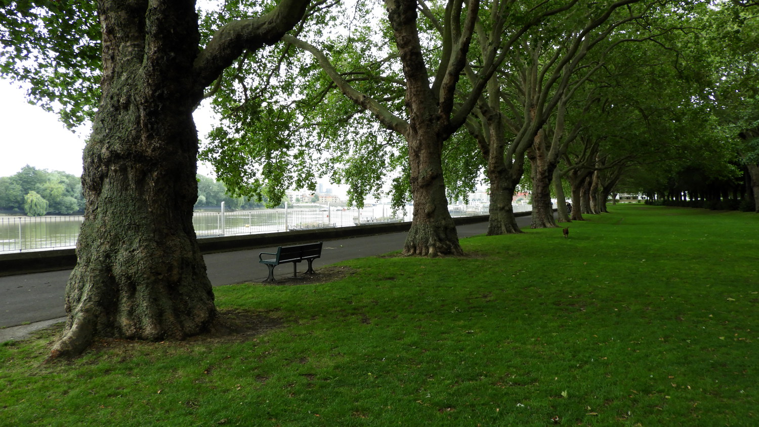 Wandsworth Park